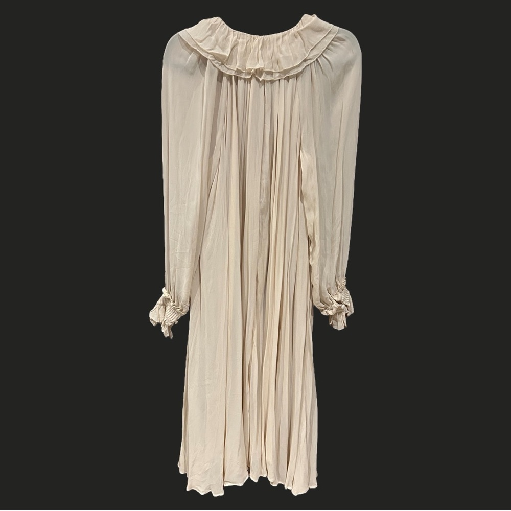 NWT ANTHROPOLOGIE Long Sleeve Sheer Pleated Maxi Dress Neutral XS-M - Picture 6 of 16